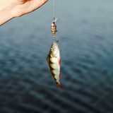 Nós de pesca amarrados na linha